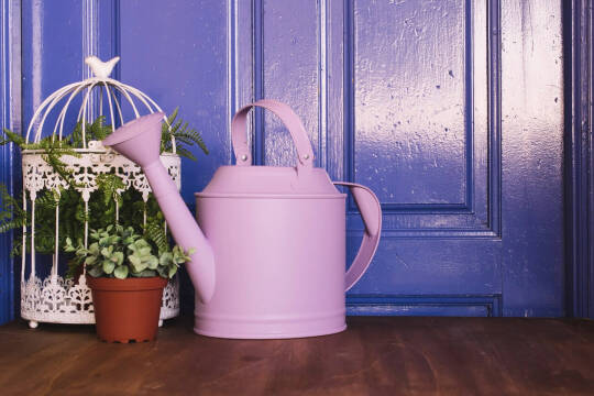 Örnek Ürün 10 - Ürün Paketi